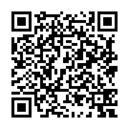 QR code for H998390