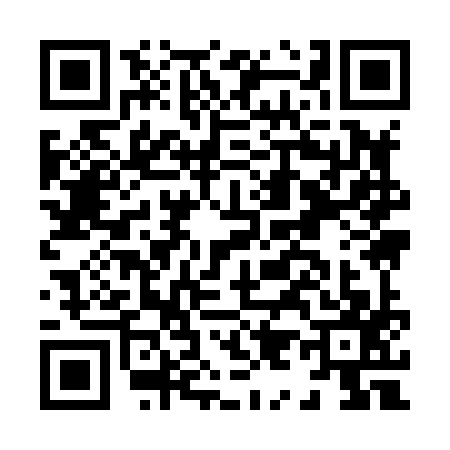 QR code for H998977