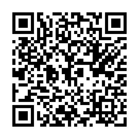 QR code for H999223