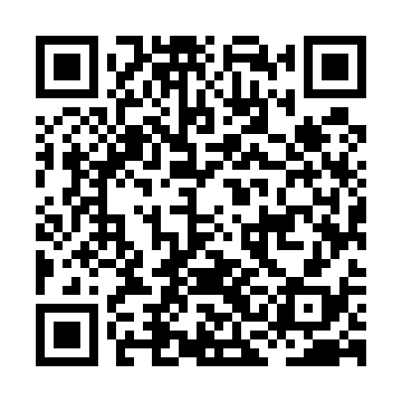 QR code for HCM538