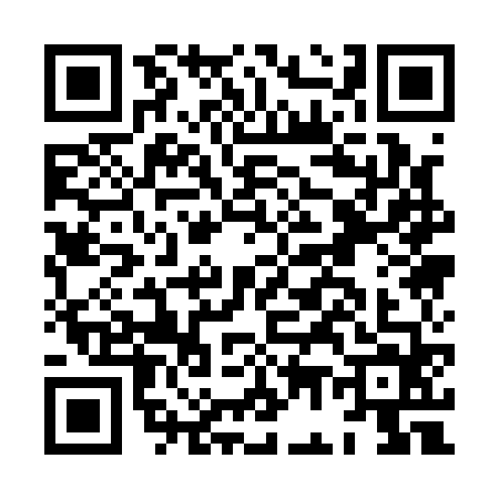 QR code for HG11647