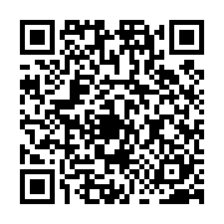 QR code for HG94256