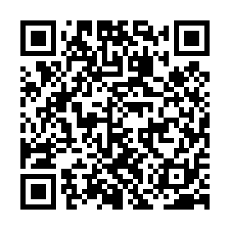 QR code for HGU411