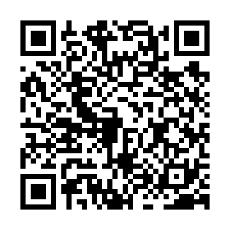 QR code for HH96313