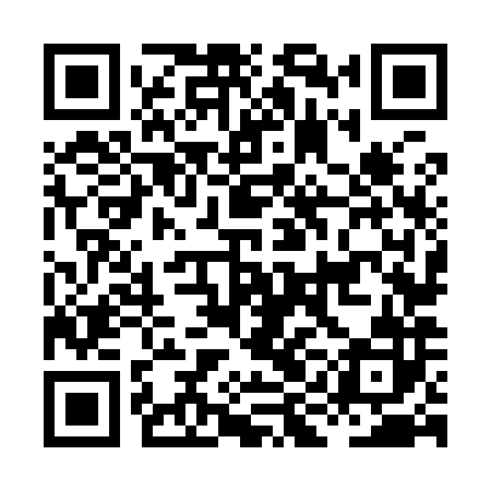 QR code for HIN982