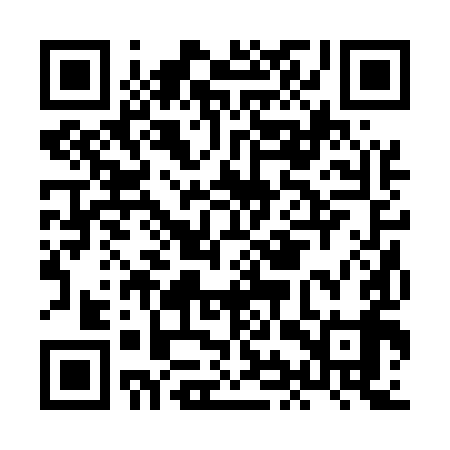QR code for HIR599