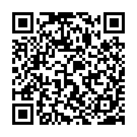 QR code for HIS295