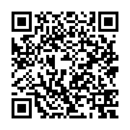 QR code for HJ91393