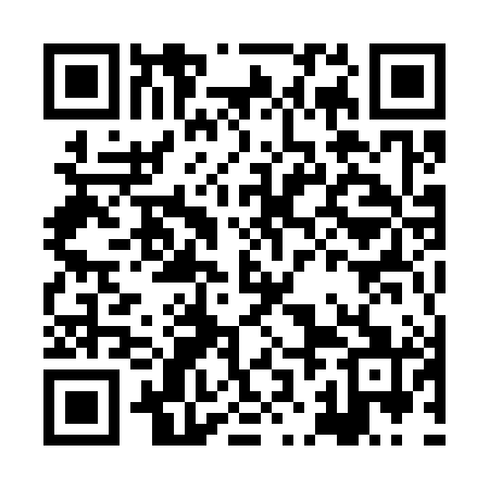 QR code for HJM381