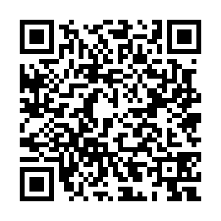 QR code for HL50385