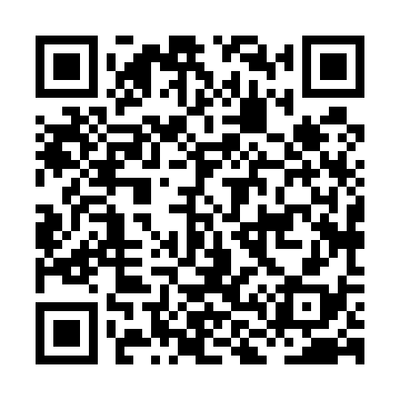 QR code for HL8538
