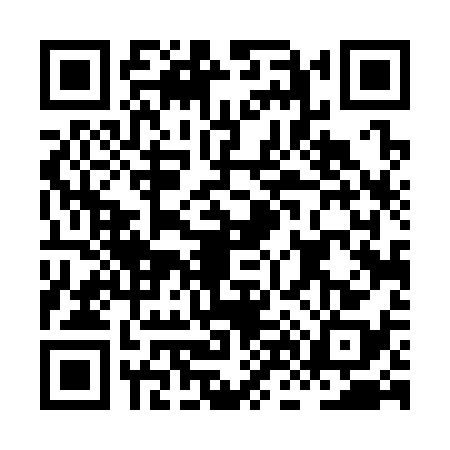 QR code for HN43382