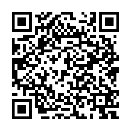 QR code for HN86229