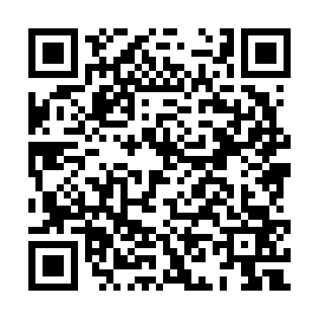 QR code for HN86636