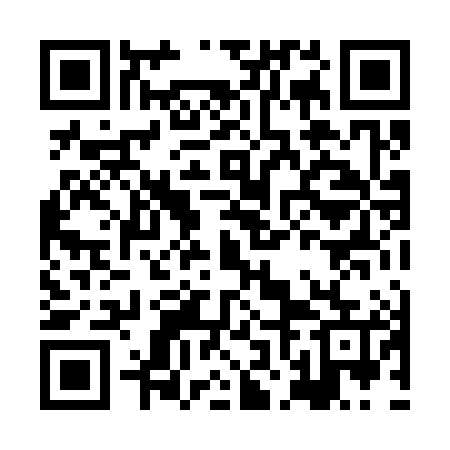 QR code for HNL385
