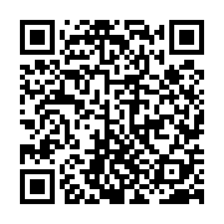 QR code for HNN509