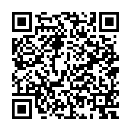 QR code for HO17929