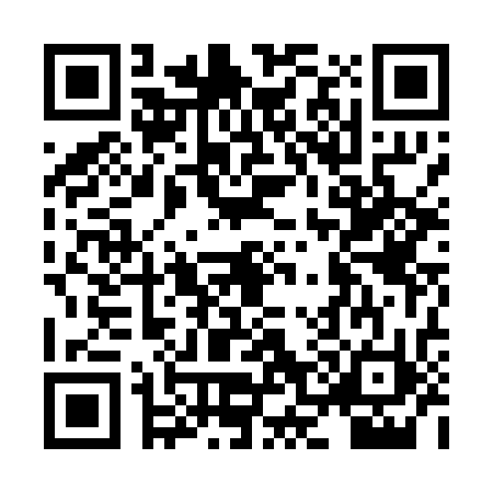 QR code for HO80323