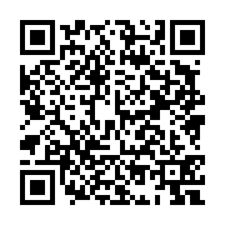 QR code for HO84313