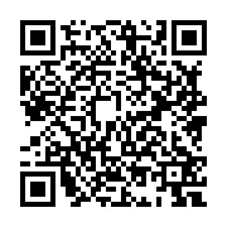 QR code for HO88236