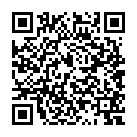 QR code for HP46011