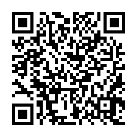 QR code for HPO166