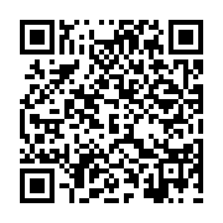 QR code for HPT313