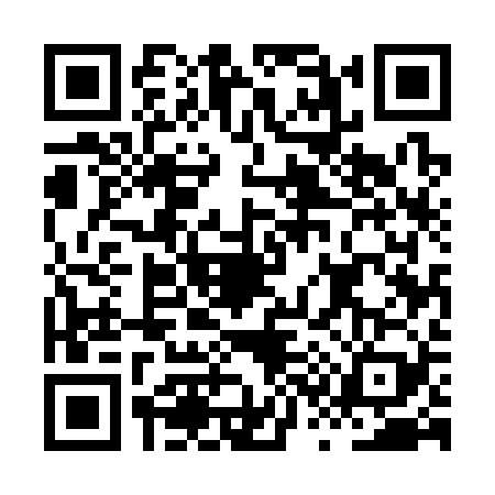 QR code for HS53294