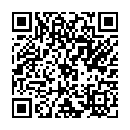 QR code for HS60386