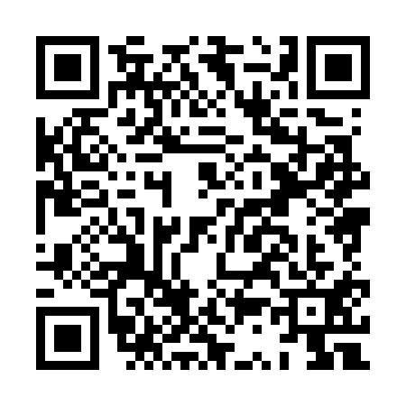 QR code for HS87118