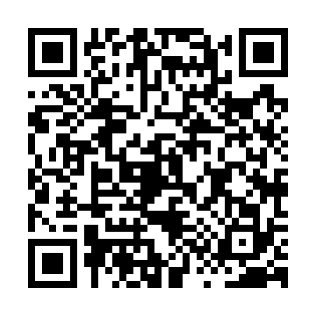 QR code for HS87325