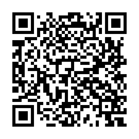 QR code for HSS966