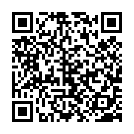 QR code for HUL498