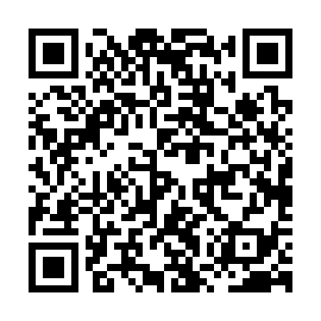 QR code for HWP339