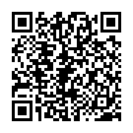 QR code for HY97333