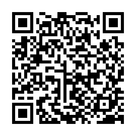 QR code for HYO381