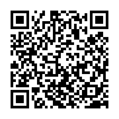 QR code for HYZ438