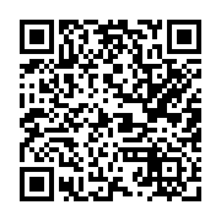 QR code for HZE313