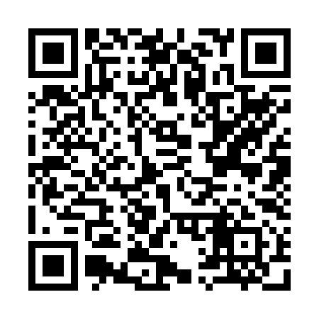 QR code for I13291
