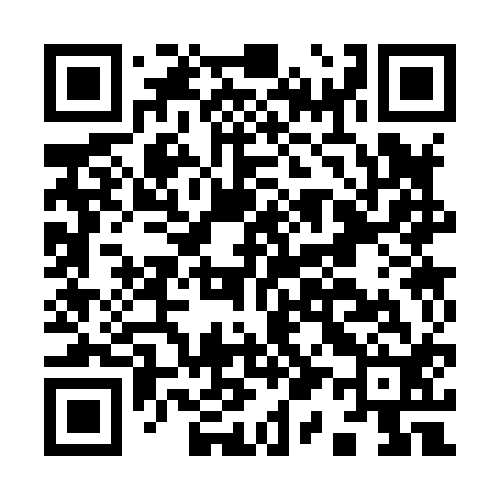 QR code for I13812