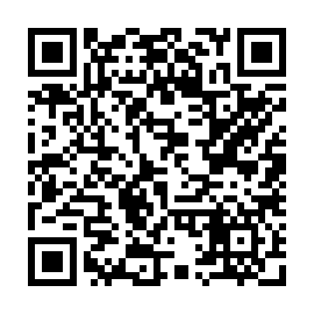 QR code for I17287