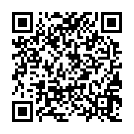 QR code for I17316