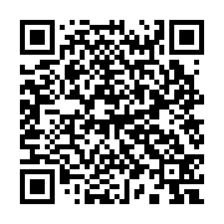 QR code for I17333
