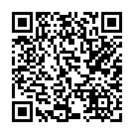 QR code for I17397