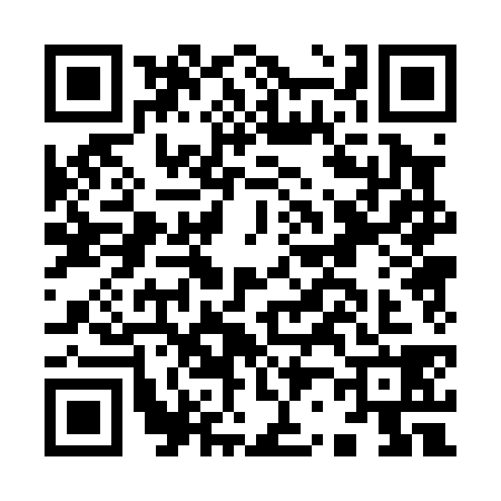 QR code for I200387