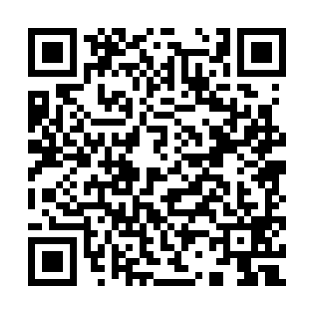 QR code for I203994