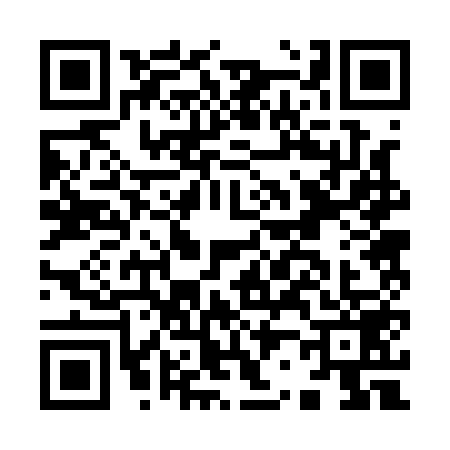 QR code for I221595