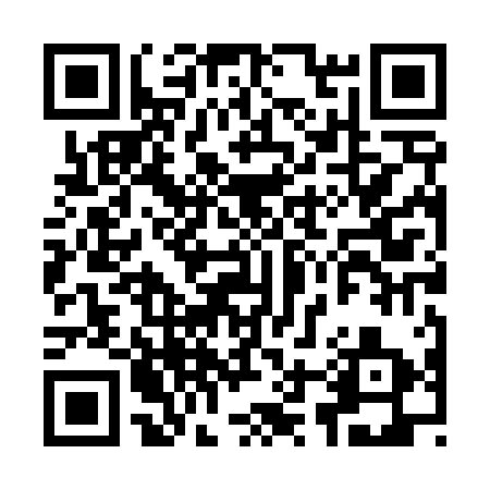 QR code for I28413