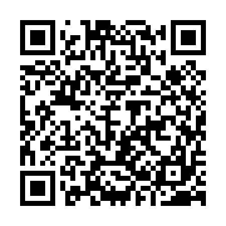 QR code for I29017