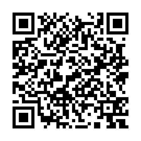 QR code for I290334